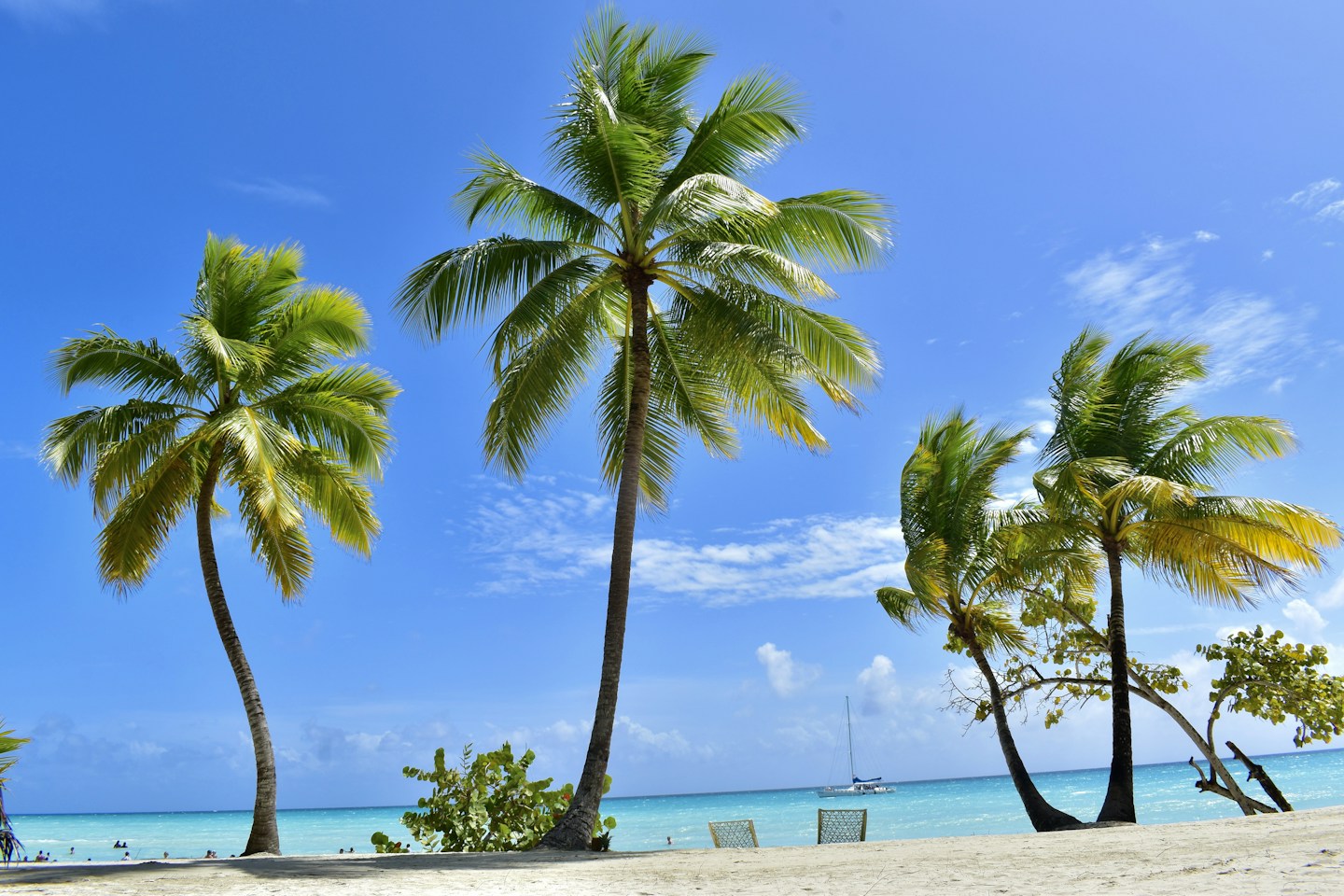 Palm trees and two beach chairs beside the Caribbean Sea in the Dominican Republic